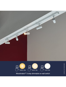 Regulowany biały spot sufitowy Omari 5 reflektorków LED na metalowej belce sufitowej - listwie, sciemniacz Regulowany biały spot sufitowy Omari 5 reflektorków LED na metalowej belce sufitowej - listwie, sciemniacz