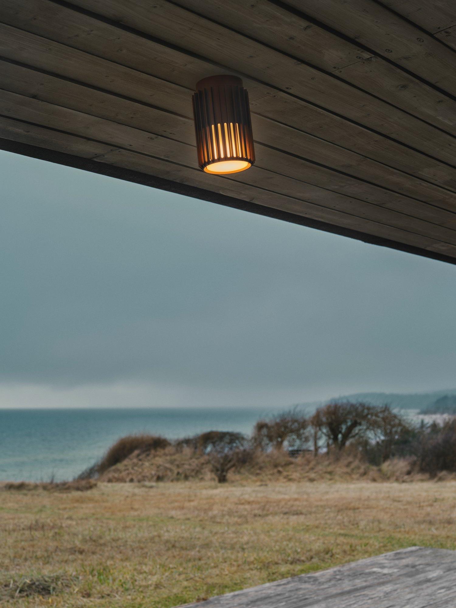 Nowoczesna lampa sufitowa zewnętrzna Aludra, z IP54, skandynawska brązowa tuba spot E27