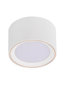 Mała lampa sufitowa Fallon - biała tuba downlight, LED 2700K 5W z ściemniaczem