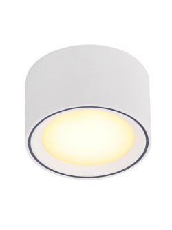 Mała lampa sufitowa Fallon - biała tuba downlight, LED 2700K 5W z ściemniaczem