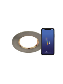 Srebrne oczko sufitowe Dorado - Smart Light, IP65, łazienka 