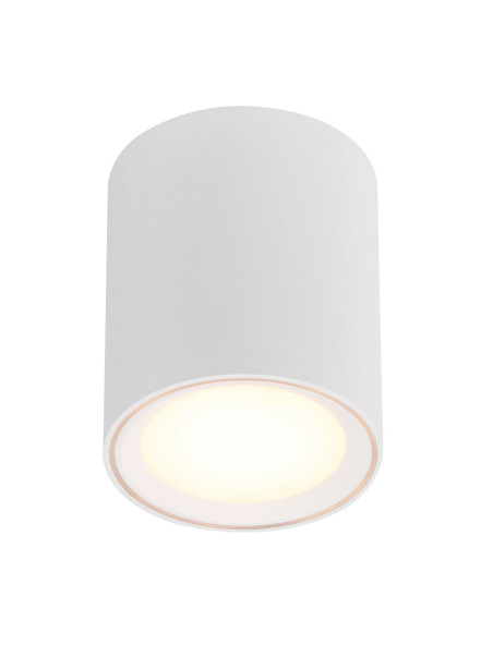 Lampa sufitowa Fallon Long - biała wydłużona tuba z srebrnym pierścieniem, downlight LED 2700K 5W