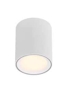 Lampa sufitowa Fallon Long - biała wydłużona tuba z srebrnym pierścieniem, downlight LED 2700K 5W