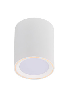 Lampa sufitowa Fallon Long - biała wydłużona tuba z srebrnym pierścieniem, downlight LED 2700K 5W