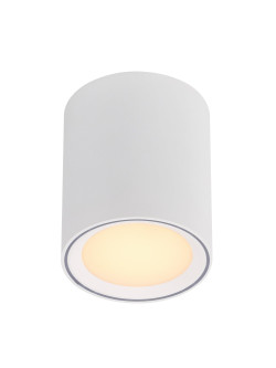 Lampa sufitowa Fallon Long - biała wydłużona tuba z srebrnym pierścieniem, downlight LED 2700K 5W