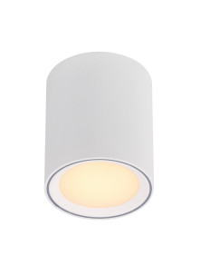 Lampa sufitowa Fallon Long - biała wydłużona tuba z srebrnym pierścieniem, downlight LED 2700K 5W